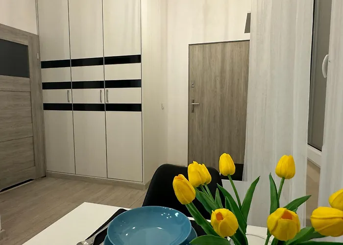 King Studio Odası